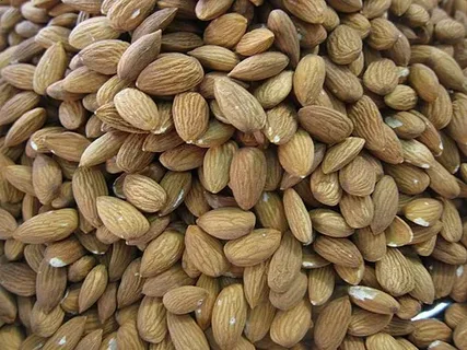 معرفی بادام درختی فله + بهترین قیمت خرید